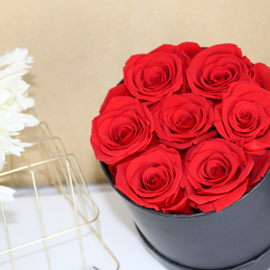 Preserved Red Roses in Basic Round Box